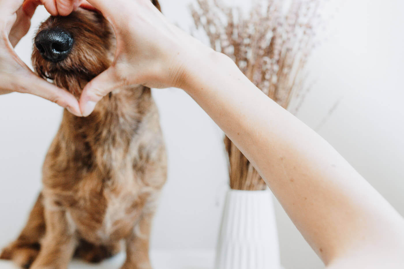 Selbstauslöser von Fotografin und Hund, eher künstlerische Aufnahme in der man kleine Details sieht, wie die beiden Hände der Hochzeitsfotografin, die zu einem Herz geformt sind, durch das der Hund seine Nase steckt